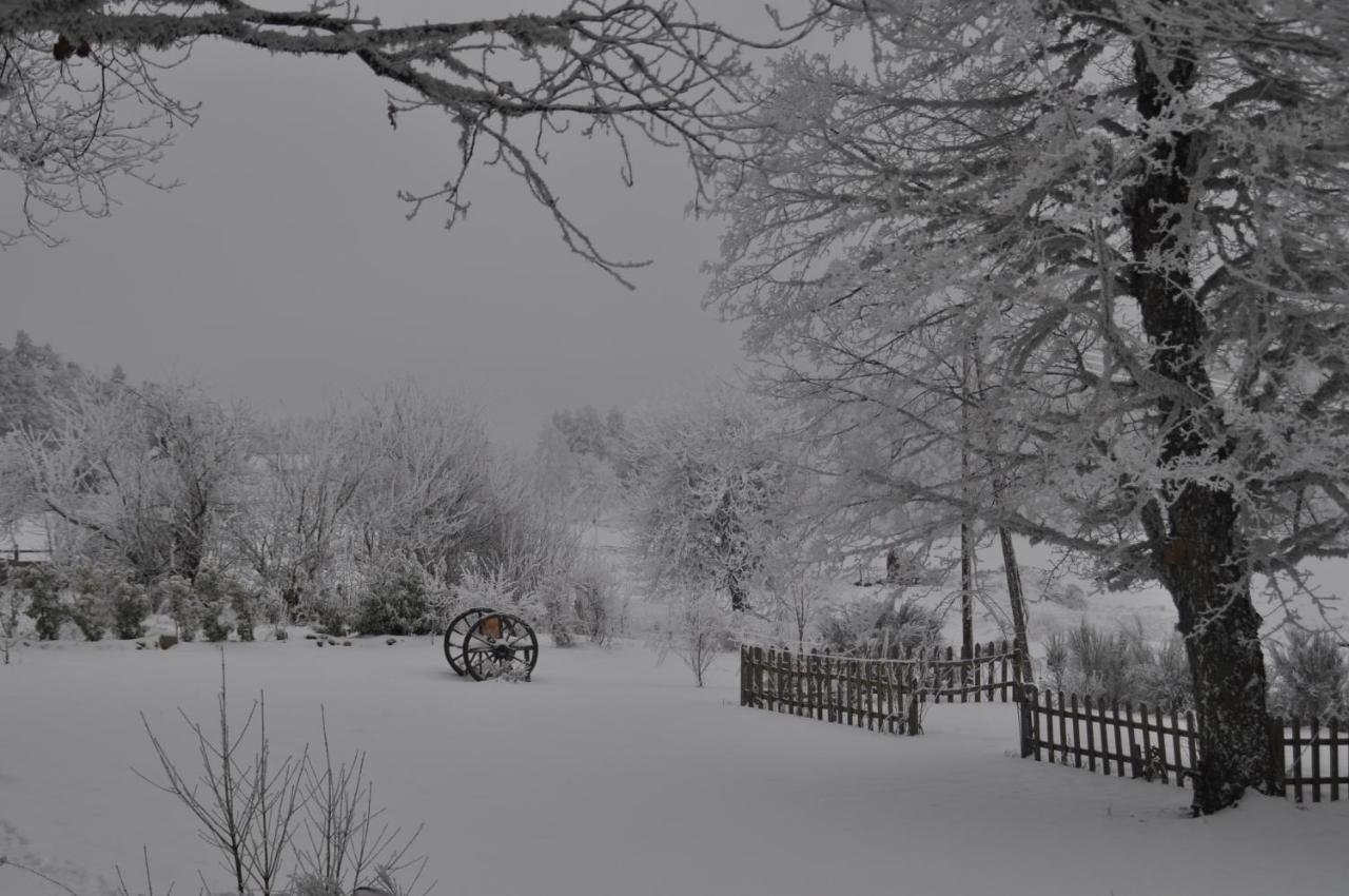 Manoir Du Grail Bed & Breakfast Devesset ภายนอก รูปภาพ